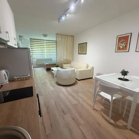 Vasils Apartment