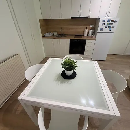 Apartment Vasils